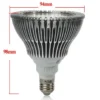 24W Grow LED Pflanzenlampe E27 Lampe Rot Blau Vollspektrum – Bild 4