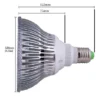 58W LED Grow Pflanzenlampe Spektrum Rot Blau – Bild 3